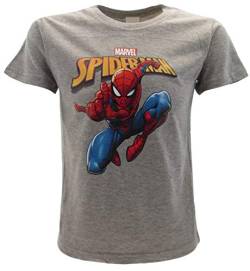 Original Spiderman T-Shirt Spider-Man für Herren, Spiderman, Grau, Marvel Offizielles T-Shirt, Grau 3-4 Jahre von Sabor srl
