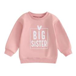 Kinder Mädchen Entspannt Sweatshirt für Schwestern Langarm Rundhalsausschnitt Kleine/Große Schwestern Print Pullover Shirt Famliy Sisters Passende Warme Kleidung (Big Sis Rosa1a, 2-3 Years) von Saeevima