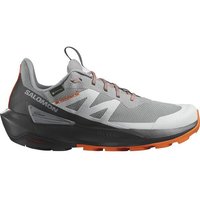 SALOMON Herren Multifunktionsschuhe SHOES ELIXIR ACTIV GTX Shskin/Phantm/Drf von Salomon