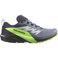 SALOMON Herren Trailrunningschuhe SHOES SENSE RIDE 5 GTX Flint/Black/Grgec von Salomon