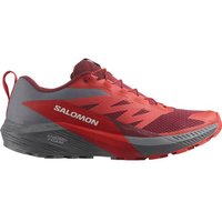 SALOMON Herren Trailrunningschuhe SHOES SENSE RIDE 5 Quiet Shade/Bird/PoRd von Salomon