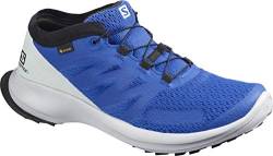 Salomon Herren Shoes Sense Flow GTX Laufschuhe, Blau (Eisblau/Perlblau/Schwarz), 49 1/3 EU von Salomon