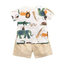 Sanlutoz Baumwolle Baby Junge Kleidung Sets Sommer Karikatur Neugeborene T-Shirt+Kurze Hose (0-6 Monate / 66 cm, BCS9045) von Sanlutoz