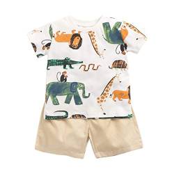 Sanlutoz Baumwolle Baby Junge Kleidung Sets Sommer Karikatur Neugeborene T-Shirt+Kurze Hose (18-24 Monate / 90 cm, BCS9045) von Sanlutoz