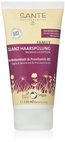 Sante Naturkosmetik Glanz Haarspülung Bio-Birkenblatt-Extrakt 150ml, 1er Pack (1 x 150 ml) von Sante Naturkosmetik
