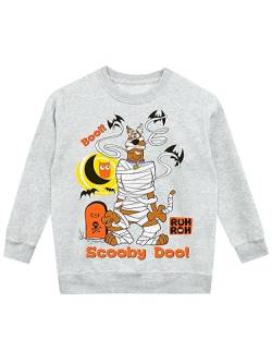Scooby Doo Halloween Sweatshirt für Jungen und Mädchen | Kinder Halloween Pullover | Grau 116 von Scooby Doo