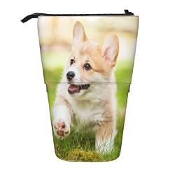 Fox Großer Bleistift-Teleskop-Organizer mit Reißverschluss, niedliches Federmäppchen für Kinder., Corgi Puppy, Einheitsgröße, Taschen-Organizer von Senar