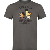 Sesamstraße T-Shirt - Ernie und Bert - Bros Since 1973 - S bis 3XL - für Männer - Größe S - grau  - EMP exklusives Merchandise! von Sesamstraße