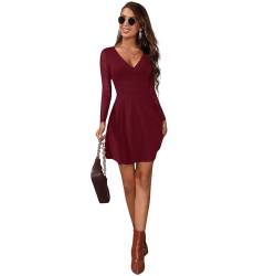 SheIn Damen Netz Ärmel Kleider A Linie Tief V-Ausschnitt Elegant Minikleid Mesh Partykleid Skaterkleid Hohe Taille Langarmkleid Bordeaux L von SheIn