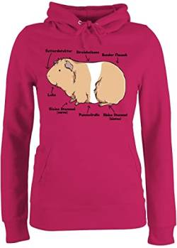 Pullover Damen Hoodie Frauen - Tiere Meerschweinchen Hase & Co. - Meerschwein Anatomie - XXL - Fuchsia - Schweinchen Kapuze Pulli mit Tieren tiermotiv damenhooddies tiermotive Hoody von Shirtracer