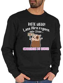 Sweater Pullover Sweatshirt Herren Damen - Sprüche Statement mit Spruch - Bitte Herr lass Hirn regnen - Meerschweinchen weiß - XXL - Schwarz - lustige sprüchen drauf spruche meerschwein pulli von Shirtracer