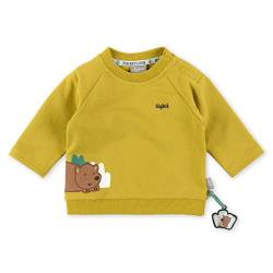 Sigikid Baby-Jungen Bio-Baumwolle Sweatshirt, grün, 80 von Sigikid