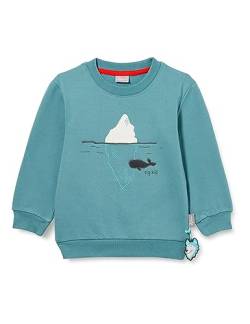 sigikid Mini Jungen Sweatshirt Polar Expedition von Sigikid