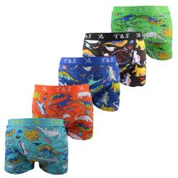 Sleques Boxershorts 5er Pack Hochwertige Kinder Unterhosen Optimaler Baumwolle Shorts für Jungen Farbenvielfalt Größe 116-164 B-100 (Dino Ps-3015, 110-116) von Sleques