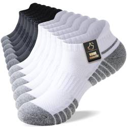 SockWaddles Sneaker Socken Herren 43-46 39-42 35-38 47-50 Sportsocken Damen Sneakersocken Atmungsaktive Baumwolle Kurze Laufsocken Unisex 6 Paar von SockWaddles