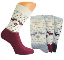 Damen Jungen Mädchen Socken I Wintersocken (6 Paar) Damen Mädchen Socken Vollfrottee I für Schule, Freizeit und Arbeit I Bettsocken warm I dick I Norweger 39-42 von Sockenversandhandel.de