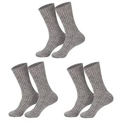 Wintersocken (1, 3 oder 6 Paar) mit 100% Schafwolle ohne Gummidruck I Plüschsohle I Grau I Dick I Bettsocken I Naturwarm I Für Arbeit und Freizeit I Herren I Damen I Kinder I bis Größe 50 1 Paar 39-42 von Sockenversandhandel.de