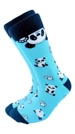 Blauer Panda gemusterte bunte Socken von Socks Tunnel
