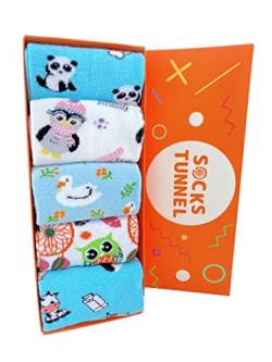 Socks Tunnel 5 Stück Set mit Socken im Tier-Kuh-Panda-Muster von Socks Tunnel