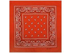 Sonnenscheinschuhe 1 x Bandana Tuch verschiedene Muster Paisley 100% Baumwolle Kopftuch Halstuch Schal (Orange) von Sonnenscheinschuhe