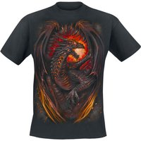 Spiral - Gothic T-Shirt - Dragon Furnace - S bis 4XL - für Männer - Größe S - schwarz von Spiral