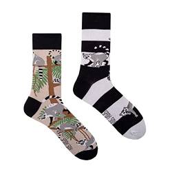 Spox Sox Casual Unisex für Damen und Herren – lustige, mehrfarbige, bunte, verrückte, unterschiedliche, gemusterte Socken für Individualisten, Gr. 36-39, Lemuren von Spox Sox