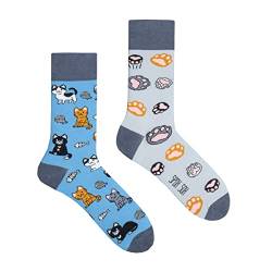 Spox Sox Casual Unisex für Damen und Herren – lustige, mehrfarbige, bunte, verrückte, unterschiedliche, gemusterte Socken für Individualisten, Gr. 40-43, Katzen von Spox Sox