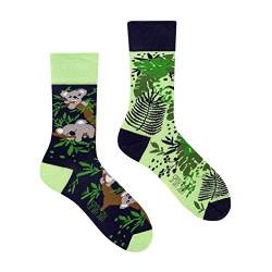 Spox Sox Casual Unisex für Damen und Herren – lustige, mehrfarbige, bunte, verrückte, unterschiedliche, gemusterte Socken für Individualisten, Gr. 40-43, Koala von Spox Sox