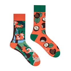 Spox Sox Casual Unisex für Damen und Herren – lustige, mehrfarbige, bunte, verrückte, unterschiedliche, gemusterte Socken für Individualisten, Gr. 44-46, Eichhörnchen und Haselnüsset von Spox Sox