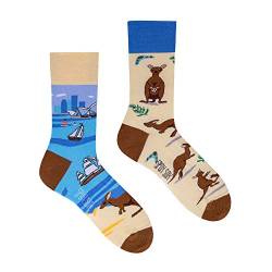 Spox Sox Casual Unisex für Damen und Herren – lustige, mehrfarbige, bunte, verrückte, unterschiedliche, gemusterte Socken für Individualisten, Gr. 44-46, Kängurus von Spox Sox