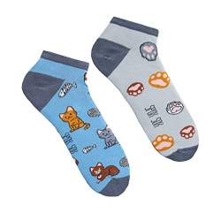 Spox Sox Casual Unisex für Damen und Herren – lustige, mehrfarbige, bunte, verrückte, unterschiedliche Sneaker Socken für Individualisten, Gr. 36-39, Katzen von Spox Sox