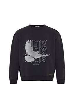 Pigeon Fitted Oversized Heavy Men Sweatshirt, Rundhals-Ausschnitt mit Dropped Shoulders Streetwear Sweatshirt, Baumwolle Herren Pullover (XL, Grau) von Stats