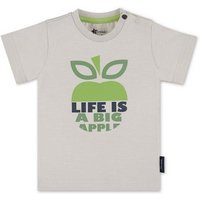 Sterntaler® Kurzarmshirt Kurzarm-Shirt (1-tlg) Baby Shirt - Kurzarmshirt Kinder - Kurzarm-Shirt mit Druck 'Apple' in Lichtgrau - T-Shirt Kinder aus Singlejersey und Schulterknöpfung auf der linken Seite von Sterntaler