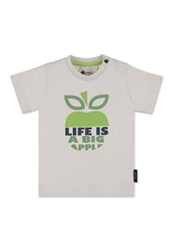 Sterntaler Baby-Jungen Kurzarm Apfel T-Shirt, lichtgrau, 68 von Sterntaler