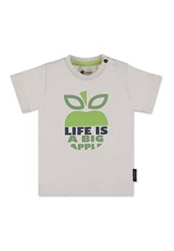Sterntaler Baby-Jungen Kurzarm Apfel T-Shirt, lichtgrau, 86 von Sterntaler