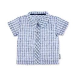 Sterntaler Baby-Jungen Kurzarm-Hemd T-Shirt, Blau (Himmel 325), 3-6 Monate (Herstellergröße: 56) von Sterntaler