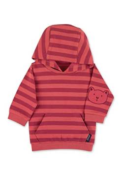 Sterntaler Baby Jungen Sweatshirt Baby Sweatshirt Blockringel Kapuzenpullover - Baby Sweatshirt - mit gefütterter Kapuze - rosa grün, 74 von Sterntaler