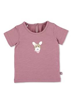Sterntaler Baby Mädchen Baby T Shirt GOTS Kurzarm Shirt Esel Emmi - Baby T-Shirt, Baby Shirt, Baby Kurzarmshirt - aus Baumwolle - rosa, 62 von Sterntaler
