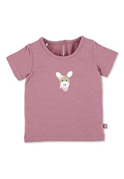 Sterntaler Baby Mädchen Baby T Shirt GOTS Kurzarm Shirt Esel Emmi - Baby T-Shirt, Baby Shirt, Baby Kurzarmshirt - aus Baumwolle - rosa, 74 von Sterntaler