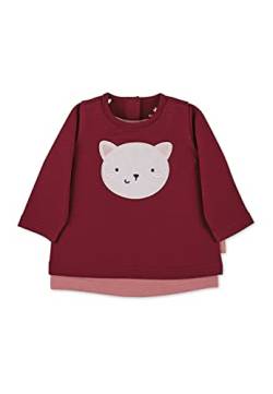 Sterntaler Baby-Mädchen Langarm Katze T-Shirt, Dunkelrot, 62 von Sterntaler