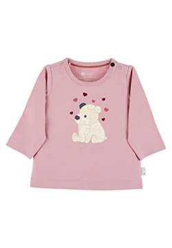 Sterntaler Baby - Mädchen Langarmshirt Baby Langarm-shirt Eisbär Elia, Rosa, 50 von Sterntaler