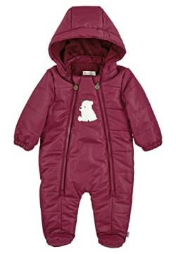 Sterntaler Baby - Mädchen Overall Baby Overall Gesteppt mit Kapuze Eisbär Elia, Dunkelrot, 62 von Sterntaler