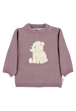 Sterntaler Baby - Mädchen Pullover Baby Strick Strickpullover Eisbär Elia, Rosa, 80 von Sterntaler