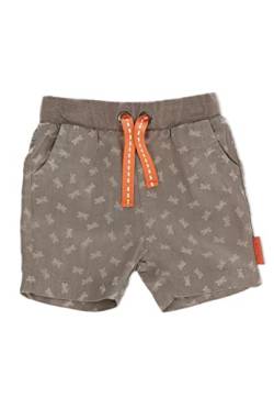 Sterntaler Baby-Mädchen Shorts Schmetterling Hose, rauchgrau, 56 von Sterntaler