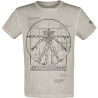 Stranger Things T-Shirt - Anatomy Of A Demogorgon - S bis 4XL - für Männer - Größe L - grau  - EMP exklusives Merchandise! von Stranger Things