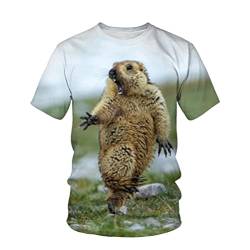 Kurzärmliges Rundhals-T-Shirt Für Herren Mit Murmeltier-Tiermuster 3D-Gedrucktes T-Shirt Lässiges Und Bequemes, Schnell Trocknendes Oberteil,XL von Sunxciast