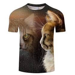 Sommer Süße Katze 3D T-Shirt Herren Lässig Atmungsaktiv O Kragen Shirt Animal Street Sportbekleidung Kurzarm Ärmel Paar Outfit,XL von Sunxciast