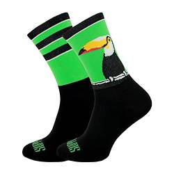 SUPPORT Herren Radsocken atmungsaktive Technologie rutschfeste Faser Unisex lustige Muster Radfahrer Zubehör für Wandern Laufen Klettern Radfahren Essentials, Big Bird, Größe 39-41 EU von Support