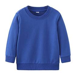 Surwin Jungen Sweatshirt Kinder Warme Pullover T-Shirt Top Langarm Shirt für Baby Jungen Kinder Sweat Streetwear Jumper Oberbekleidung 1-7 Jahre (Blau,90cm) von Surwin