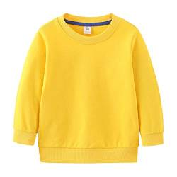 Surwin Jungen Sweatshirt Kinder Warme Pullover T-Shirt Top Langarm Shirt für Baby Jungen Kinder Sweat Streetwear Jumper Oberbekleidung 1-7 Jahre (Gelb,100cm) von Surwin